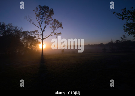 North Florida Camp cristiana sunrise. Foto Stock