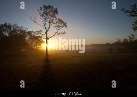 North Florida Camp cristiana sunrise. Foto Stock