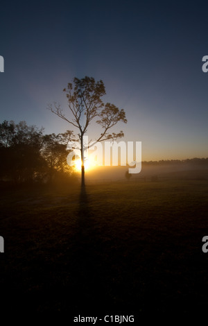 North Florida Camp cristiana sunrise. Foto Stock