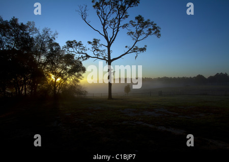 North Florida Camp cristiana sunrise. Foto Stock