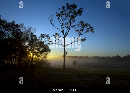 North Florida Camp cristiana sunrise. Foto Stock