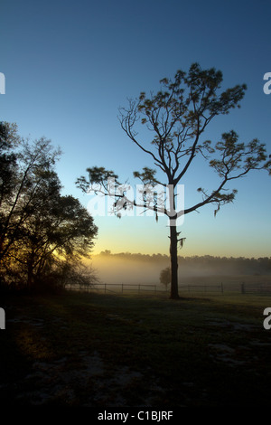 North Florida Camp cristiana sunrise. Foto Stock