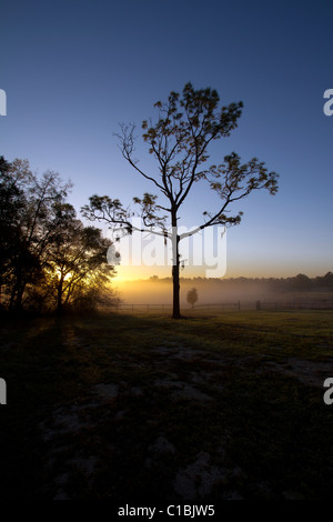 North Florida Camp cristiana sunrise. Foto Stock