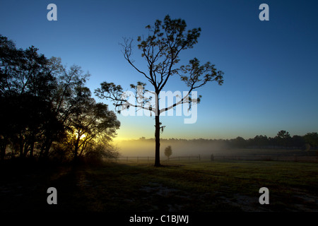 North Florida Camp cristiana sunrise. Foto Stock