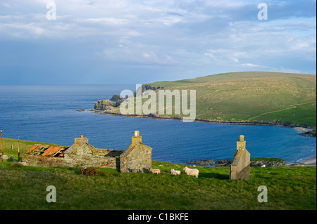 Vista su tutta verso Norwick e abbandonata Crofts dal Garths Unst Shetland Giugno Foto Stock