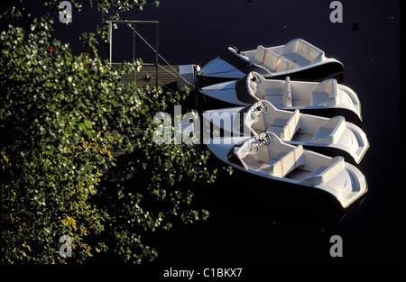 Francia, Tarn et Garonne, Montauban, lungo il Tarn tiver Foto Stock