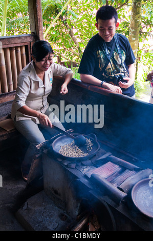 Una donna di torrefazione di caffè luwak in un vaso di argilla su un fuoco di legno di Bali Foto Stock