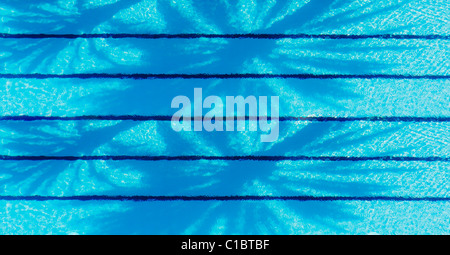 Le palme si riflette nella piscina esterna. Foto Stock