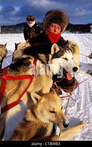 Canada, Provincia di Quebec, Mauricie, il cacciatore di animali da pelliccia Aime Audry e i suoi cani di traineau Foto Stock