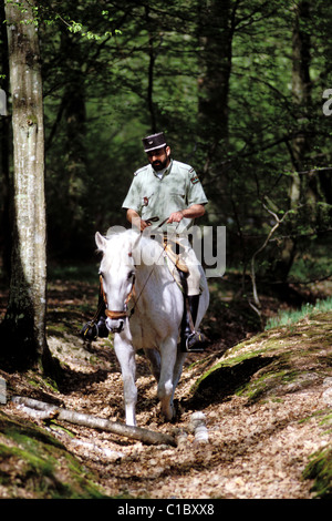 Francia, Yvelines, foresta di Rambouillet, una foresta operaio a cavallo Foto Stock