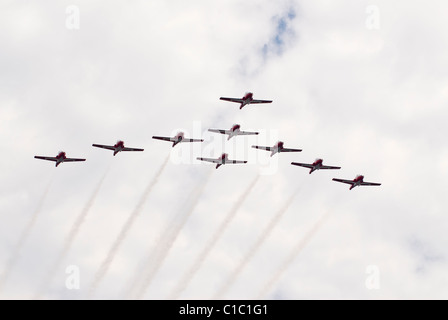 La Dimostrazione Snowbirds Team è una icona canadese compreso di servire i membri delle forze canadesi. Foto Stock