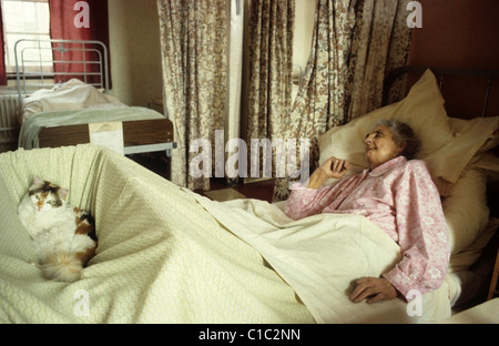 Una anziana paziente anziana 80s addormentato in un letto di reparto di ospedale di NHS negli anni '1980s con il suo animale domestico caro tortoiseshell o gatto calico in un cestino in Aberystwyth Galles Regno Unito Gran Bretagna 1983 KATHY DEWITT Foto Stock
