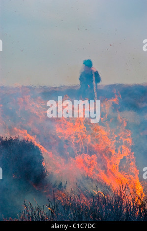 Gorse in fiamme sulle Yorkshire Moors Foto Stock