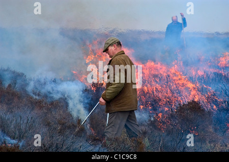 Gorse in fiamme sulle Yorkshire Moors Foto Stock