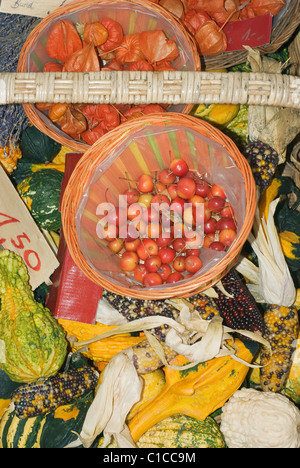Zucche e ciliegie per la vendita su un mercato agricolo Foto Stock