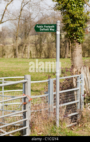 Cartello pubblico per il sentiero di Daffodil Way, una passeggiata circolare che visita i siti di daffodil selvaggio vicino a Dymock nel nord-ovest Gloucestershire Regno Unito Foto Stock
