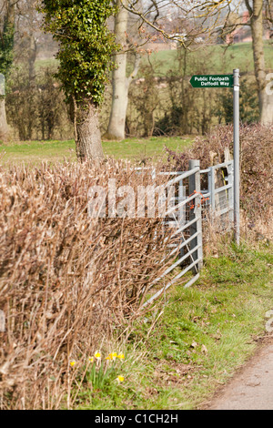 Cartello pubblico per il sentiero di Daffodil Way, una passeggiata circolare che visita i siti di daffodil selvaggio vicino a Dymock nel nord-ovest Gloucestershire Regno Unito Foto Stock