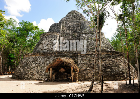 Struttura Xaibe nelle rovine di Coba in Quintana Roo Stato, Messico Foto Stock