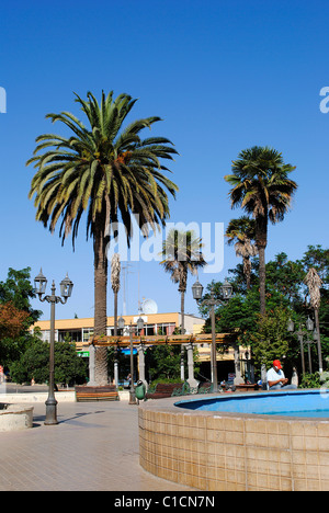 Piazza della Città di La Ligua, Cile Foto Stock