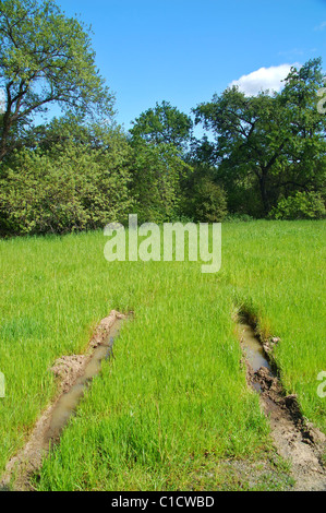 Tracce di pneumatici su un campo fangoso Foto Stock