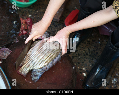 Molto pesce fresco per la vendita nel mercato in Hanoi, Vietnam Foto Stock