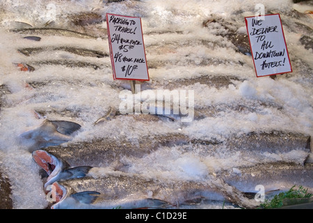 Freschi salmone selvatico sul ghiaccio a Pike Place Market pubblica Foto Stock