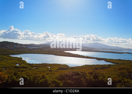 Angolo di Alta Vista della Laguna Grande, Las Cabezas De San Juan Nature Preserve, Fajardo, Puerto Rico Foto Stock