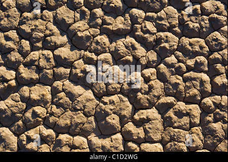 Dettaglio del lago secco letto del Devil's Racetrack playa, il parco nazionale della Valle della Morte, California Foto Stock