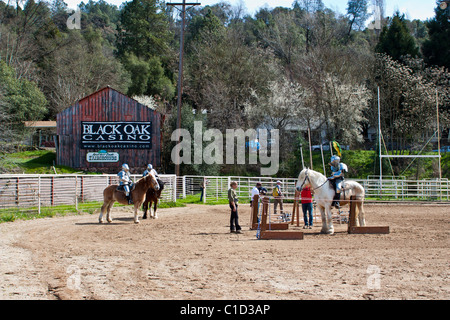 Coraggiosi cavalieri in attesa del loro giro in giostra corrispondono a Sonora California festival Celtico Foto Stock