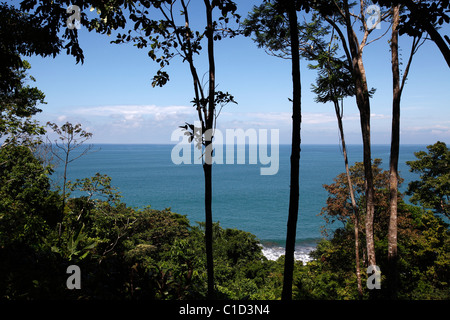 L'oceano Pacifico visto da una collina sul sentiero da Drake Bay al Parco Nazionale di Corcovado sulla penisola di Osa, Costa Rica Foto Stock