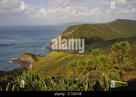 La costa vicino a Cape Reinga, regione di Northland, Isola del nord, Nuova Zelanda Foto Stock