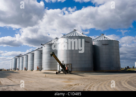 Silos di grano vicino a Narrandera nel Nuovo Galles del Sud Australia Foto Stock