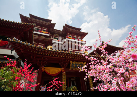 Dente del Buddha reliquia del tempio e museo, Chinatown, Singapore Foto Stock