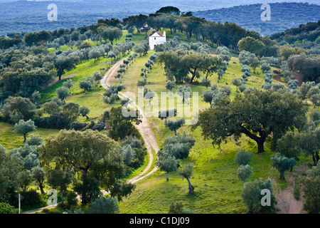 Sughero e olivi punteggiano il paesaggio Alentejo vicino Evoramonte in Portogallo Foto Stock