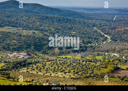 Sughero e olivi punteggiano il paesaggio Alentejo vicino Evoramonte in Portogallo Foto Stock