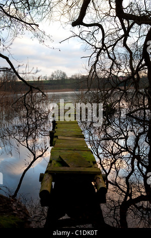 Un vecchio pontile in legno in una mancanza nel nord-ovest del lo Stato federale tedesco del Meclemburgo. Foto Stock