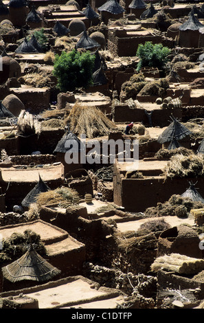 Mali, Paese Dogon, raccolti nel villaggio di Songo essiccazione su tetti Foto Stock