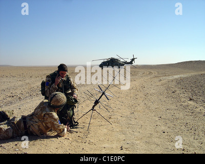 Egli merlin ( Gli uccelli rapaci) HC3 e HC3a vengono azionati da n. 28(CA) Squadron e 78 Squardron a RAF Benson. Foto Stock