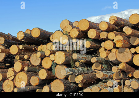 Pila di tronchi di legno contro il cielo blu Foto Stock