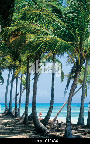 Repubblica Dominicana, provincia di Samana, palme sulla Punta Bonita Beach Foto Stock