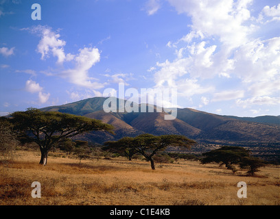 Tanzania, Serengeti National Park Serengeti plain, Paesaggio Foto Stock