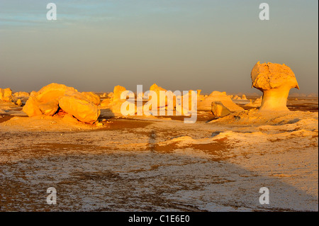 Chalk formazioni rocciose e forme nel Deserto Bianco, western di Egitto Foto Stock