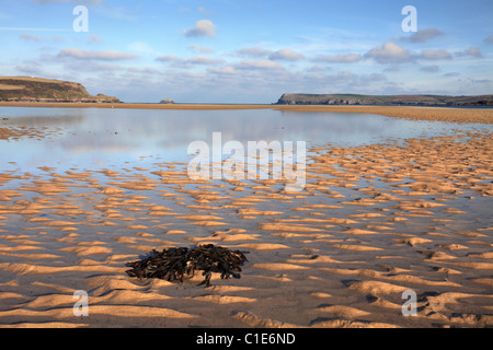 L'estuario del cammello vicino a Padstow acquisite a bassa marea Foto Stock