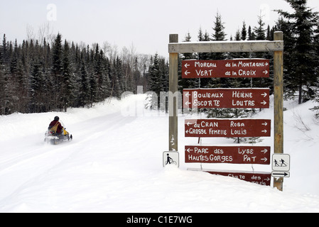 Canada, Provincia di Quebec, Charlevoix, escursione in skidoo vicino ai Grands Jardins Park Foto Stock