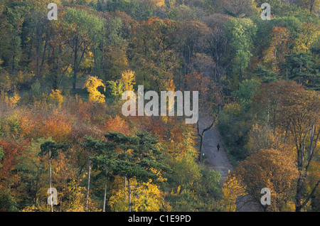 Francia, Parigi, Bois de Vincennes Vincennes (legno), durante l'autunno Foto Stock