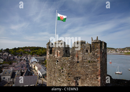 Bandiera gallese su Conwy Castle (circa 1287), Conwy, Wales, Regno Unito Foto Stock
