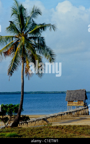 Kenya, Oceano Indiano costa, isola di Lamu, Kipangani Lodge vicino villaggio Kipangani Foto Stock