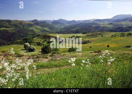 Francia Ardeche Massif du Mezenc Parc naturel regional des Monts d'Ardeche la vallee de la Haute-Saliouse et les sucs de Boree Foto Stock