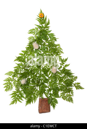 Decorativo abete di Natale da erba verde messo su sfondo bianco Foto Stock