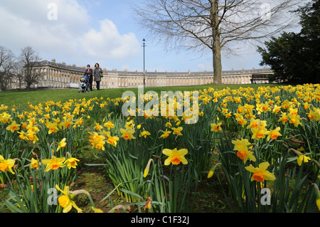 Due donne e il bambino a piedi attraverso una piccola patch di narcisi in prossimità del bagno Royal Crescent Foto Stock